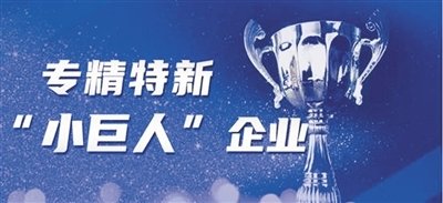 关于开展2025年专精特新“小巨人”企业认定和复核推荐工作的通知