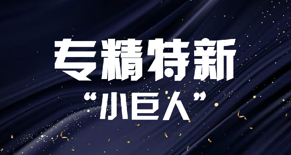 关于河北省第七批专精特新“小巨人”企业和2025年专精特新“小巨人”复核通过企业名单的公示